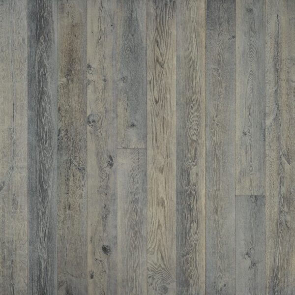 Hallmark True: Silver Needle Oak