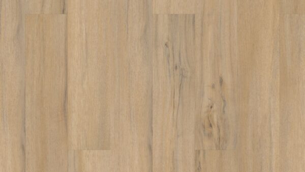 COREtec The Original - Classics: Dodwell Oak