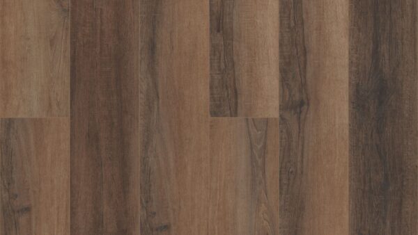 COREtec Pro Enhanced: Cheshire Elm